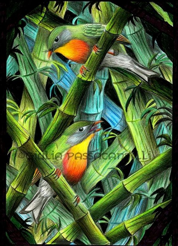 Usignoli del Giappone